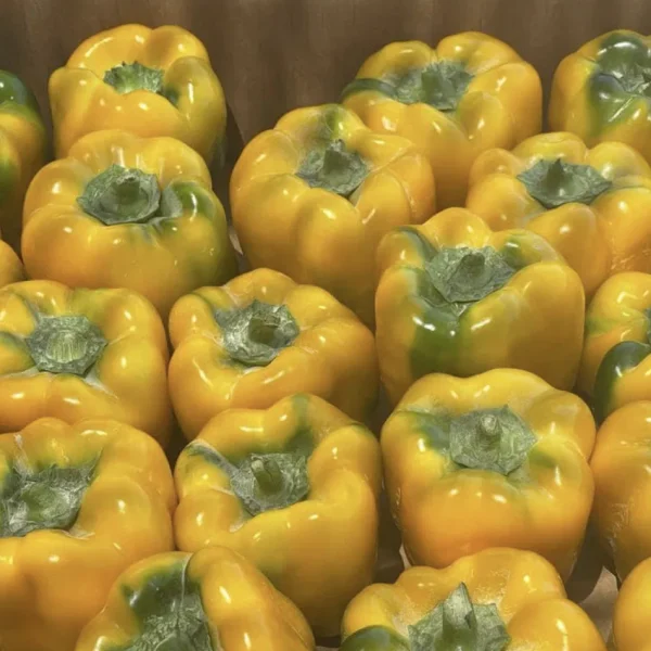 Poivron jaune