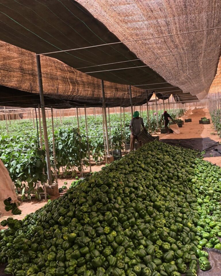 0003d512-25aa-424f-a1c9-12ff8cef08dc