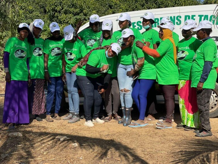 b02b6f46-25cd-4dce-beae-cf6394e11866