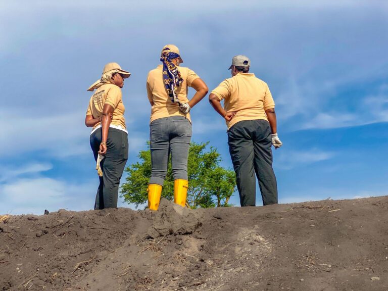 e88535c3-1b27-4906-82bb-ec9dc9a9369a