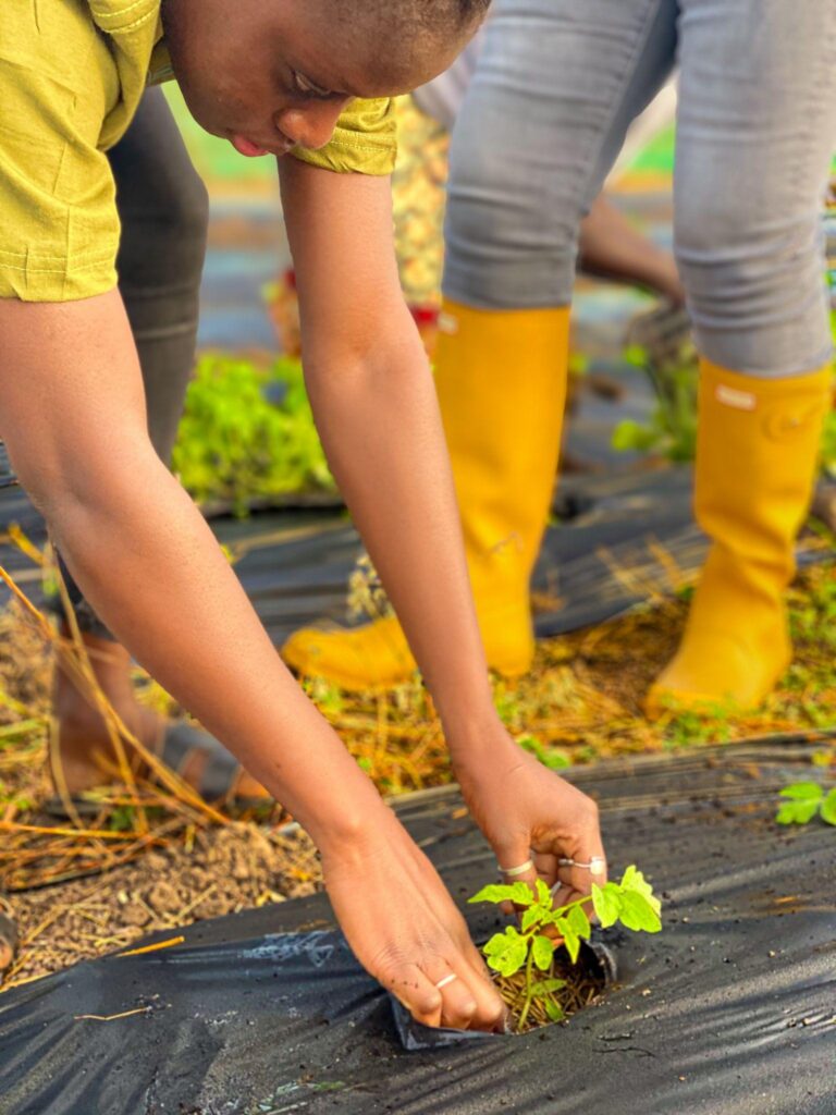 eab5b12a-0327-4c23-924e-5a1ab74408cf