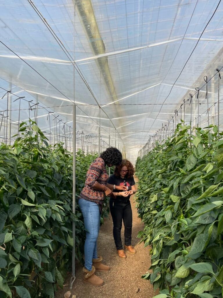 ffa17878-e6c2-4afc-a8dd-2eceb8c83ef3