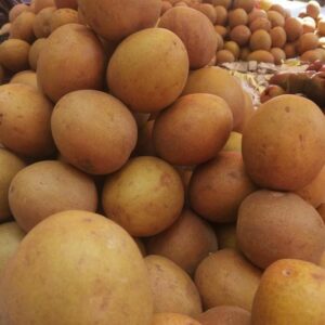 Sapotille Panier de Sapotille fraiches, fruits tropicaux de qualité supérieure
